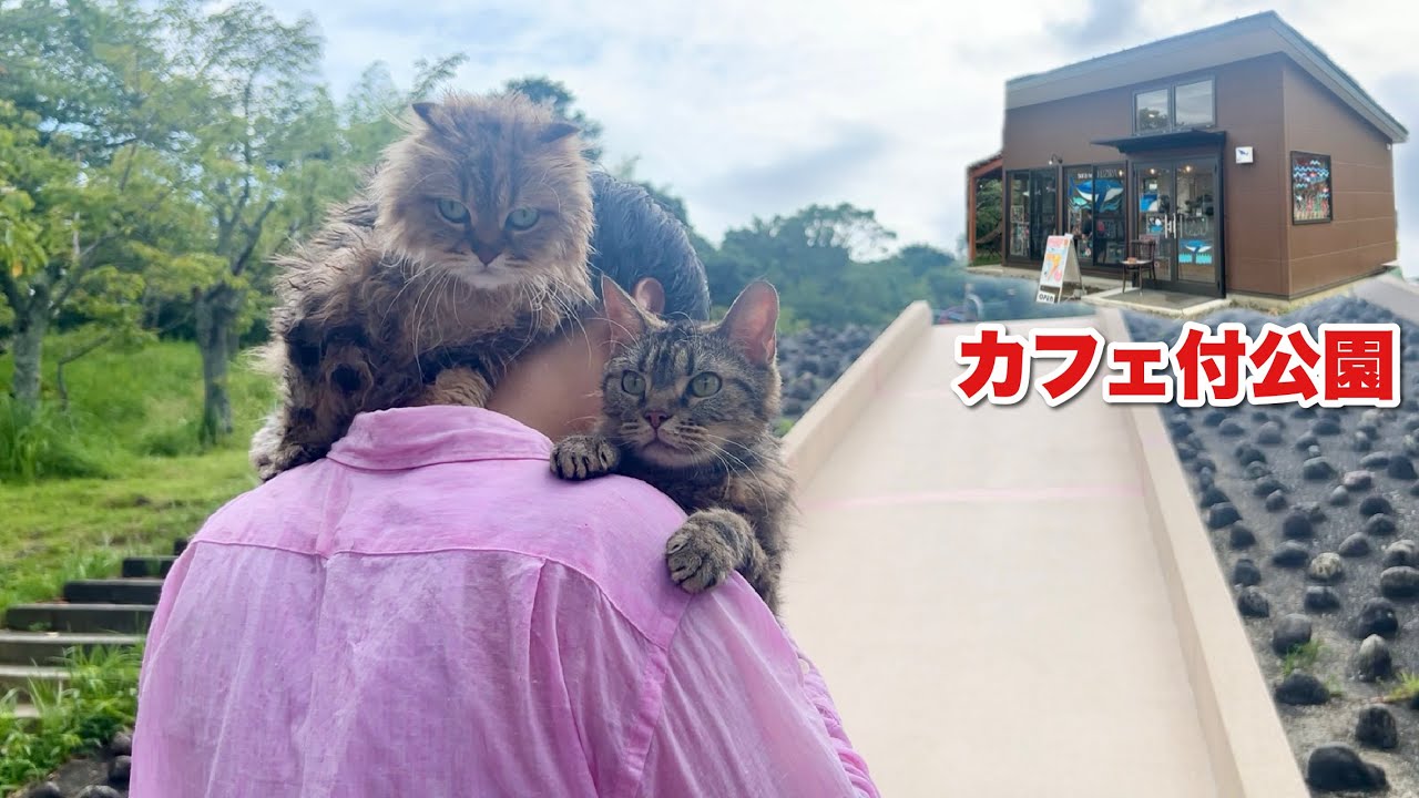 猫とカフェ付の公園へ遊びに行ったらテンション上がって楽しすぎたw