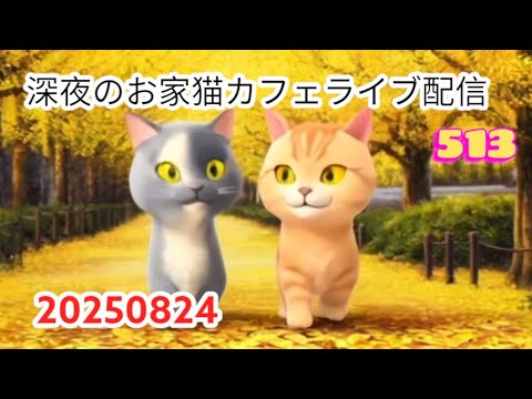 深夜のお家猫カフェライブ配信 ５１３