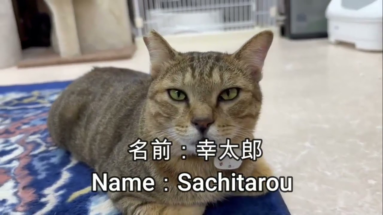 Do you remember their names?貴方は彼らの名前を覚えてますか？