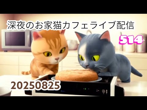 深夜のお家猫カフェライブ配信 ５１４