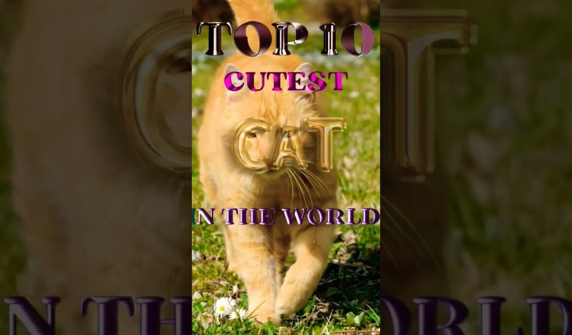 ToP 10 Most Famous Cat Breed In The World🐈🐾 #cat #trending #youtube #viral #shorts #pets #breed