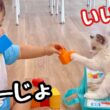 【初めてのお友達】赤ちゃんと子猫のかくれんぼが可愛すぎる