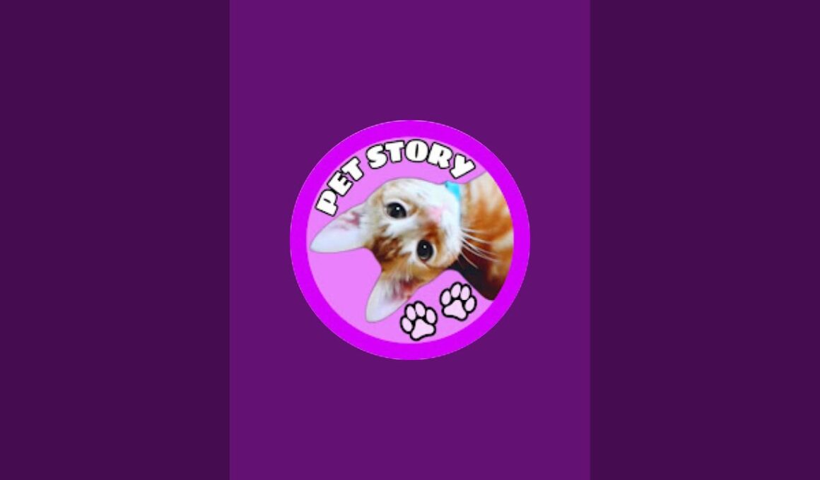 🐱野良の子猫たちがご飯を食べ終えたらライブ終了😸 Feeding Protected Abandoned Kittens Live Stream #生配信 #ライブ #live #猫ライブ