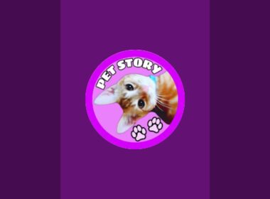🐱野良の子猫たちがご飯を食べ終えたらライブ終了😸 Feeding Protected Abandoned Kittens Live Stream #生配信 #ライブ #live #猫ライブ