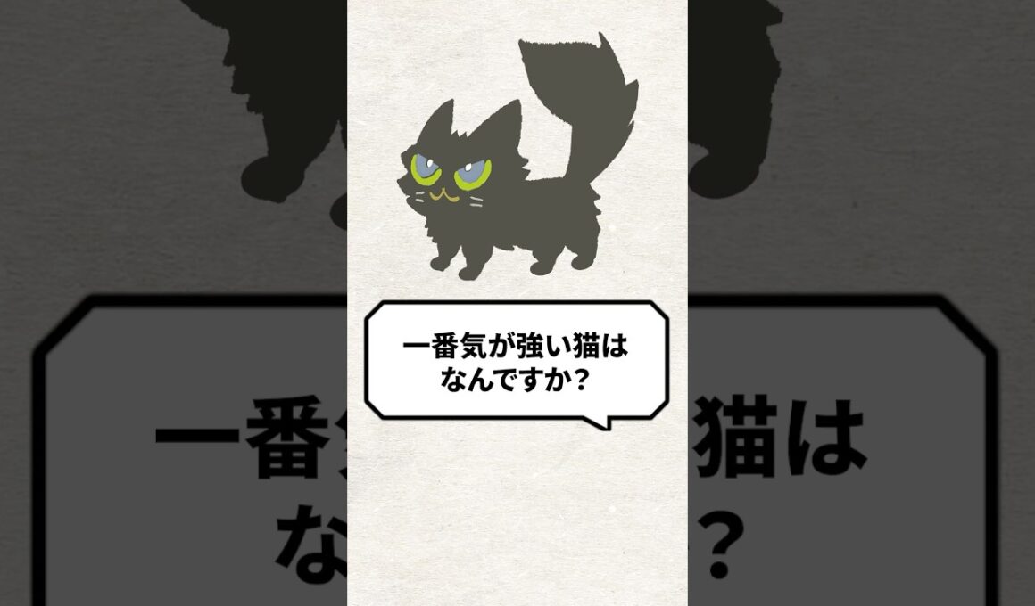 Q：一番気が強い猫はなに？ #猫 #猫のいる生活 #ねこ