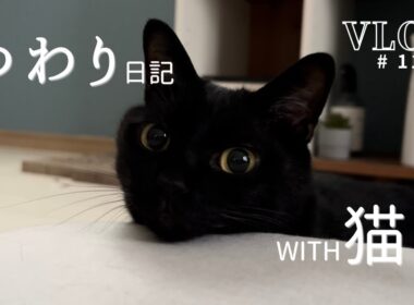 ［Vlog#11］猫と過ごしたつわり日記/妊娠記録/家族が増えるぞ！
