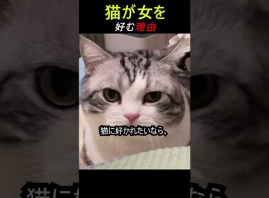 猫が女を好む理由