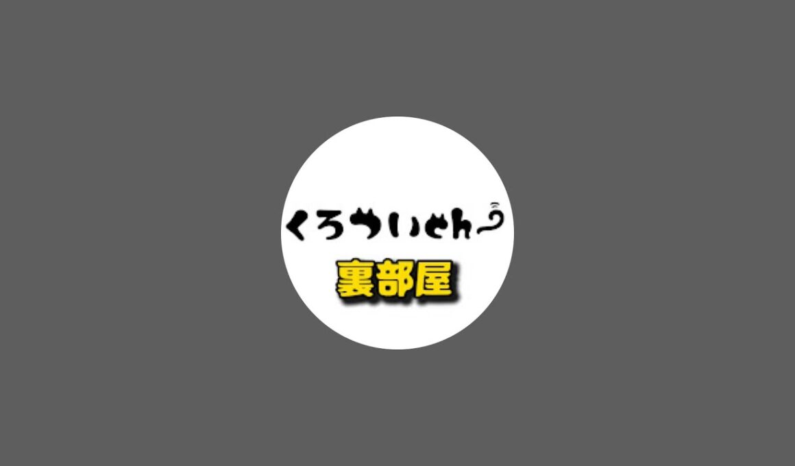 保護猫シェルターから子猫と晩酌雑談🍻