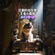 デカ猫頂上決戦👊❗️メインクーン•ノルウェージャン•サイベリアン😾