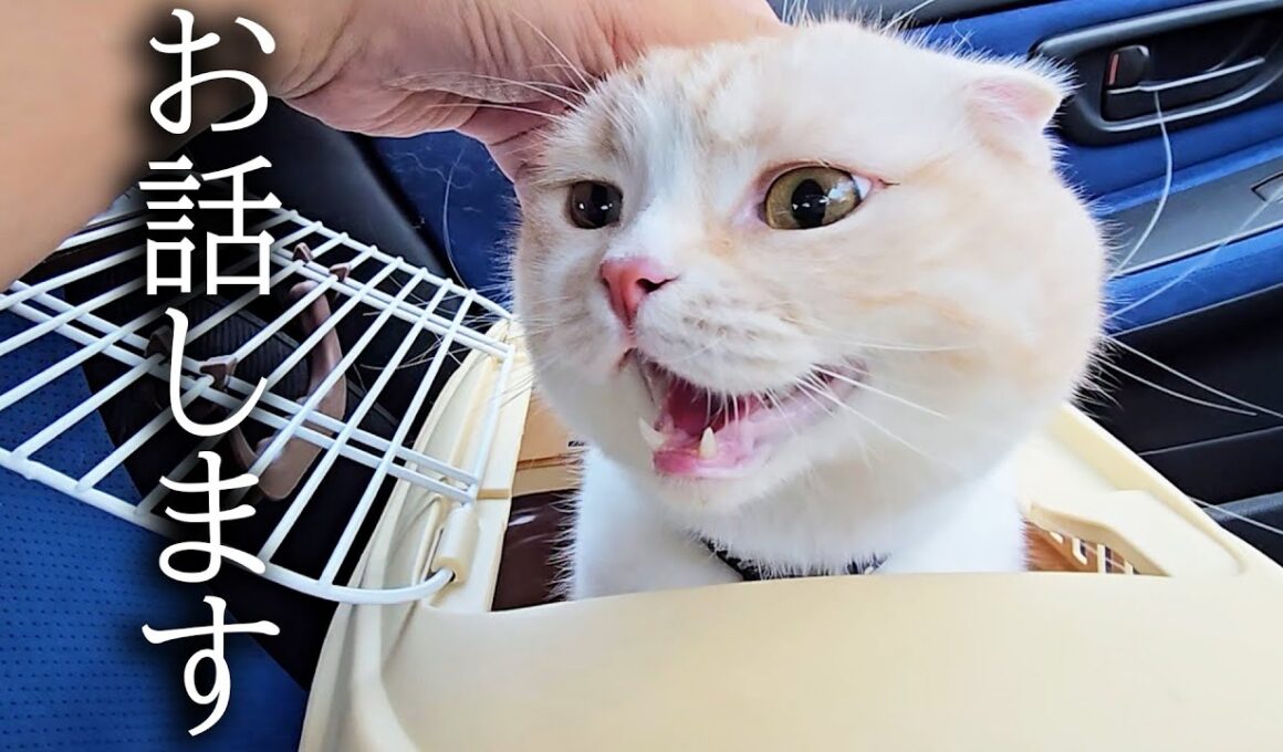 今まで応援してくださった皆様へ...