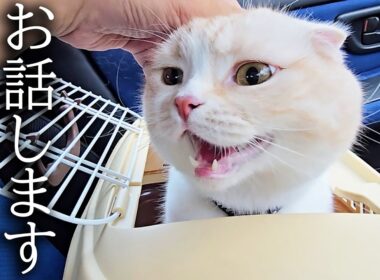 今まで応援してくださった皆様へ...