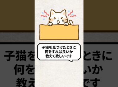 Q：子猫を見つけた時に何をすればいい？ #猫 #野良猫 #子猫 #ねこ