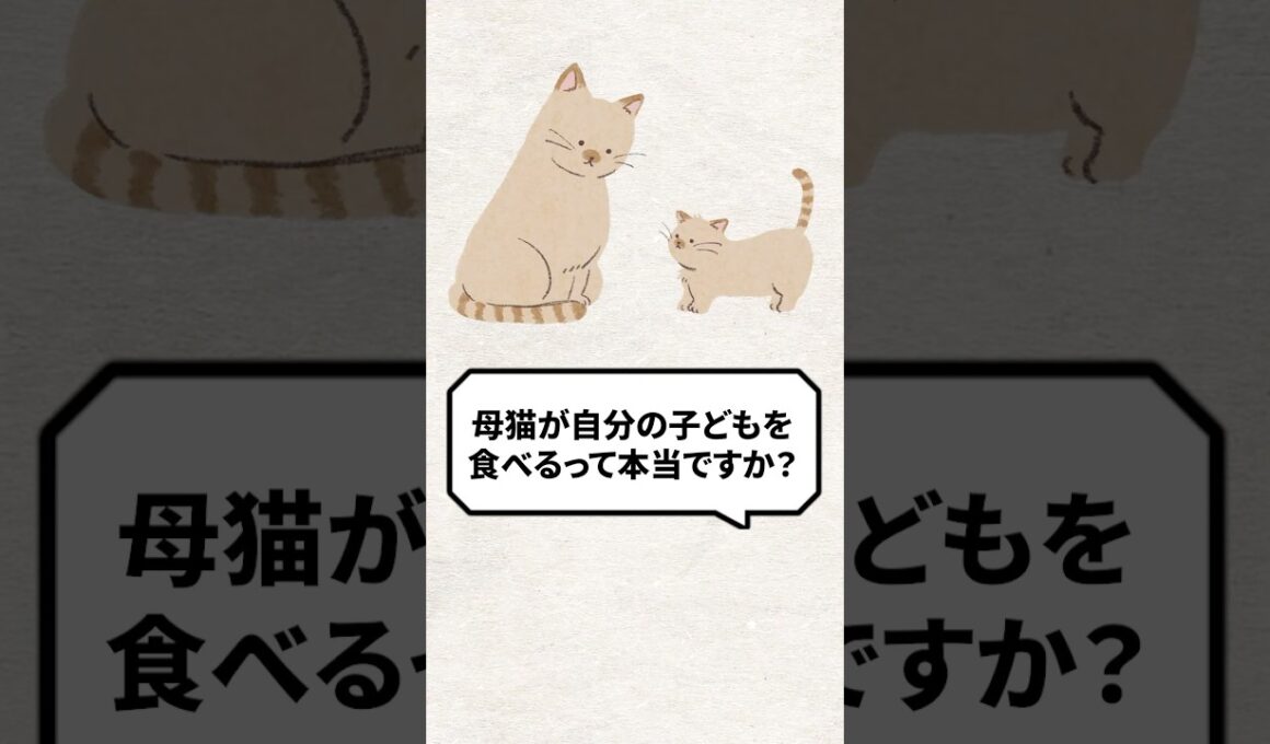 Q：母猫は自分の子どもを食べるって本当？ #猫 #野良猫 #保護猫 #ねこ