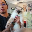 ミミのおかげでスパイシーキャッツから解放された