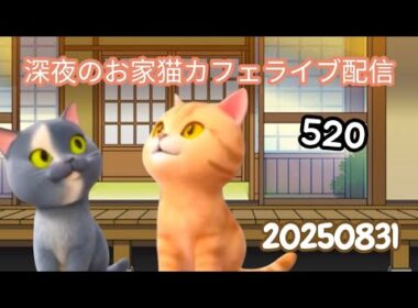 深夜のお家猫カフェライブ配信 ５２０