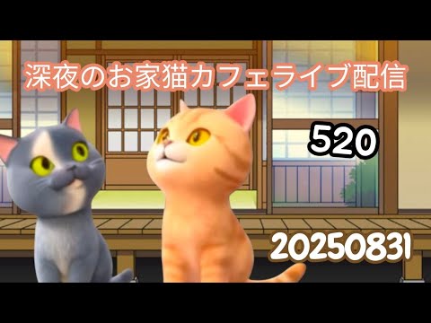 深夜のお家猫カフェライブ配信 ５２０