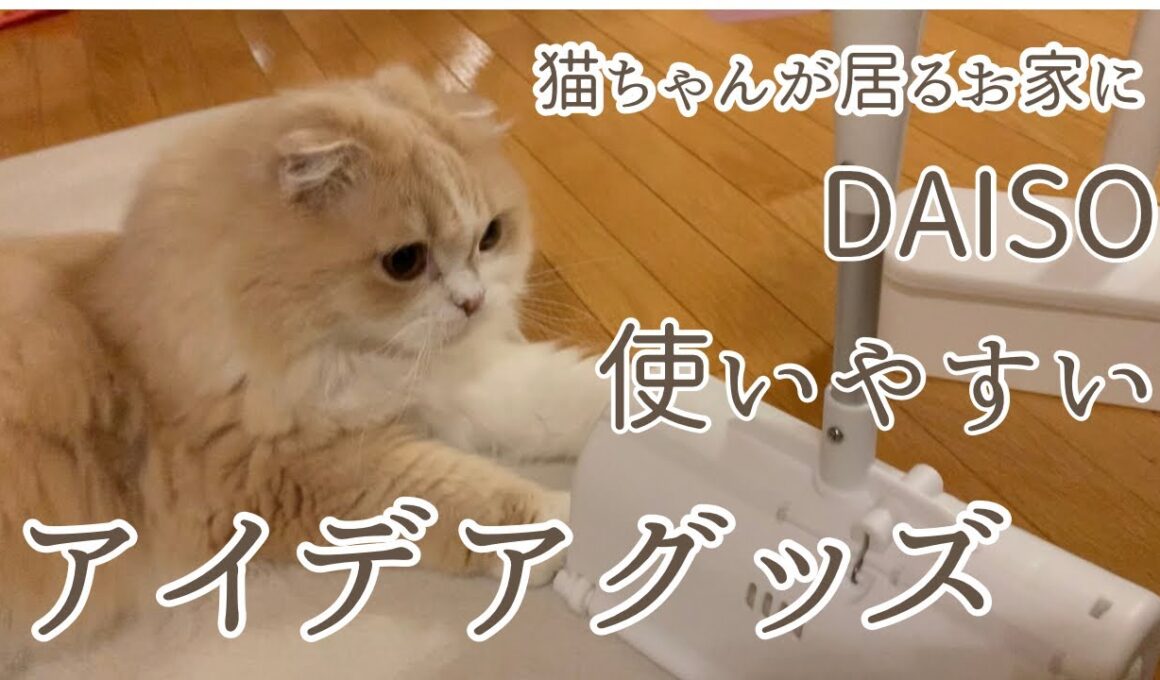 【ダイソー購入品】ケース一体式粘着クリーナー/便利アイデアグッズ/ダイソー新商品/スコティッシュフォールド/DAISO