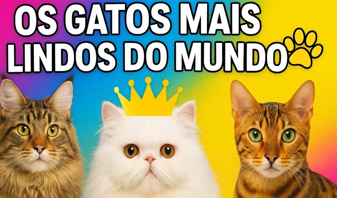 🐾 As 10 Raças de Gatos Mais Lindas do Mundo | Qual é a Sua Favorita?