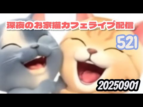 深夜のお家猫カフェライブ配信 ５２１