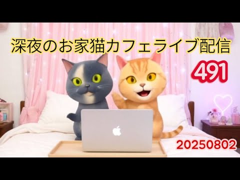 深夜のお家猫カフェライブ配信 ４９１