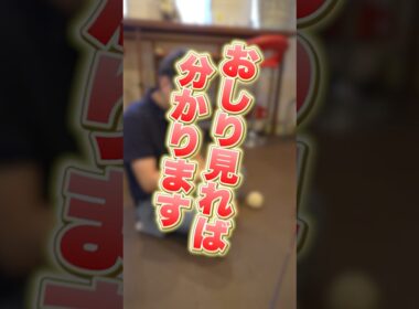 【現役ペットショップ店員が教える】子猫を飼う時の裏技4選 #ペットショップ #猫 #飼い方 #ブリーダー