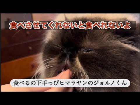ヒマラヤン食事の実態