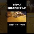 お腹をブラッシングしたら... #メインクーン #猫 #猫のいる暮らし#cat #mainecoon #catlover​  #catshorts​ #cute​ #cutecat​ #fyp​
