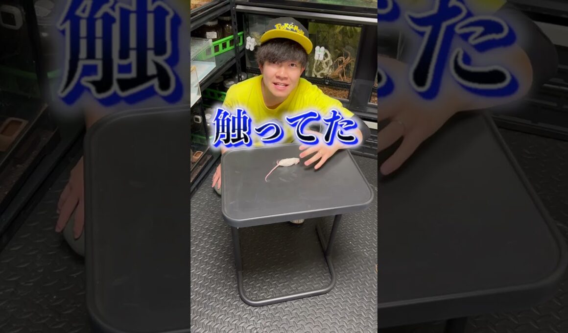 飼っている蛇に手を思いっきり噛まれてしまいました…
