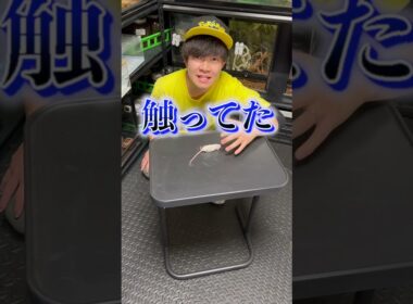 飼っている蛇に手を思いっきり噛まれてしまいました…