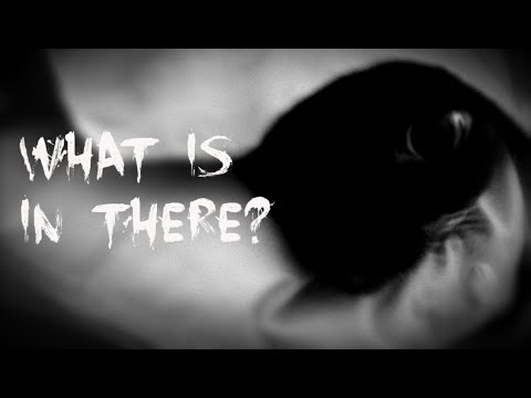 Monster Turns Into a Siamese Cat!! | モンスターの正体はシャム猫だった！！