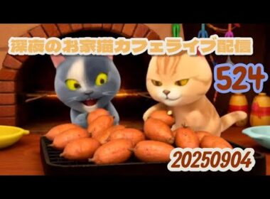 深夜のお家猫カフェライブ配信 ５２４