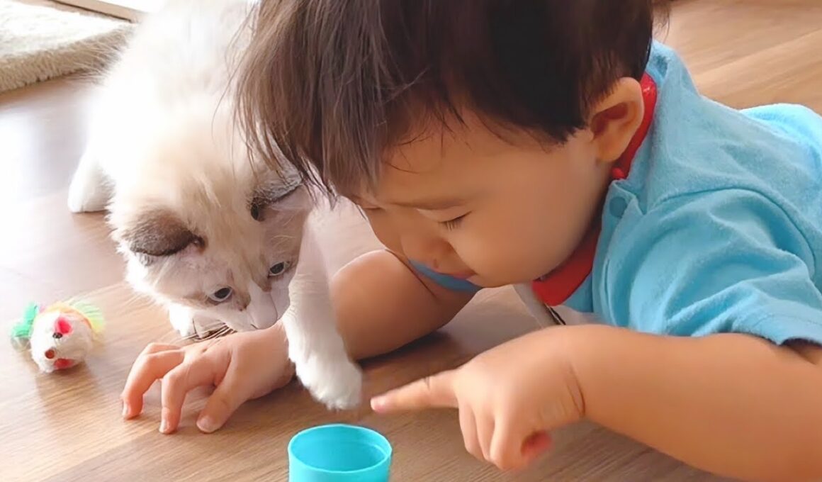 生まれた時から猫まみれで育った赤ちゃん､子猫と仲良しすぎる💕