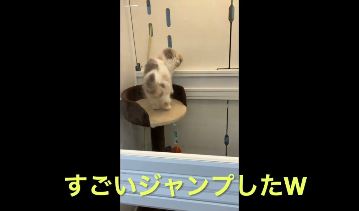 ご飯まだかな〜