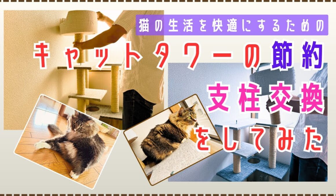キャットタワーの支柱の傷みが激しかったので、メンテナンスを行いました。（EPISODE120／2025.9.3）