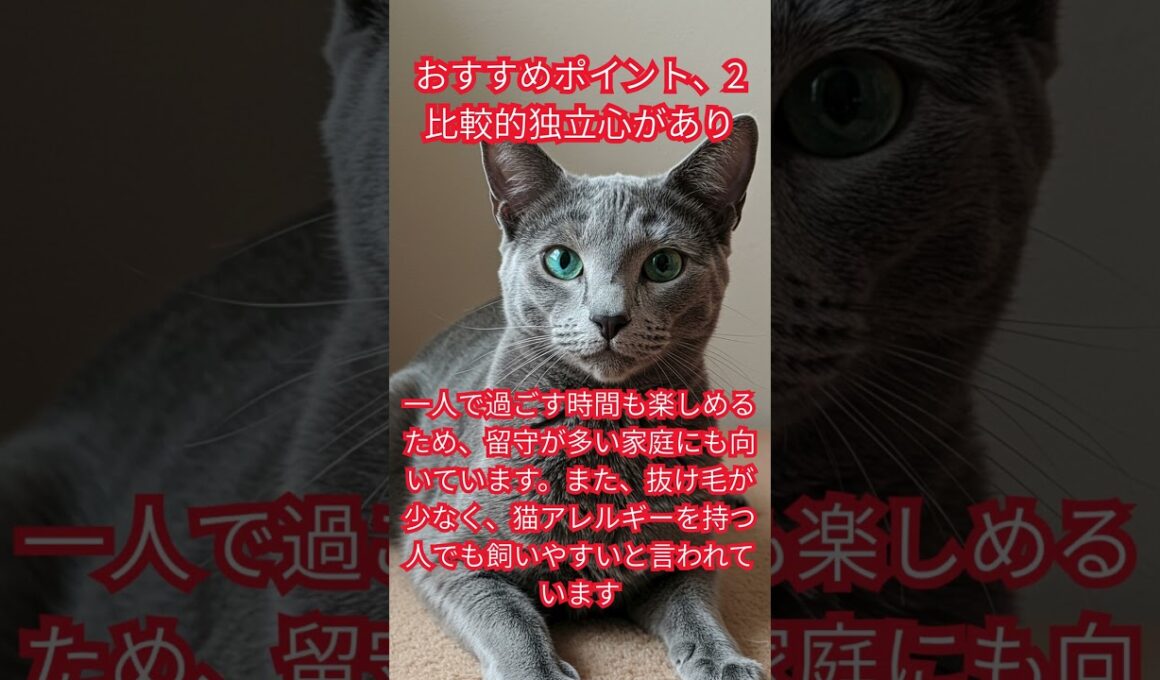 ロシアンブルーの飼い方