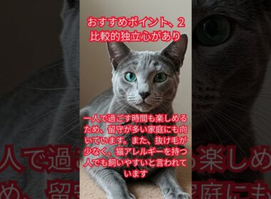 ロシアンブルーの飼い方