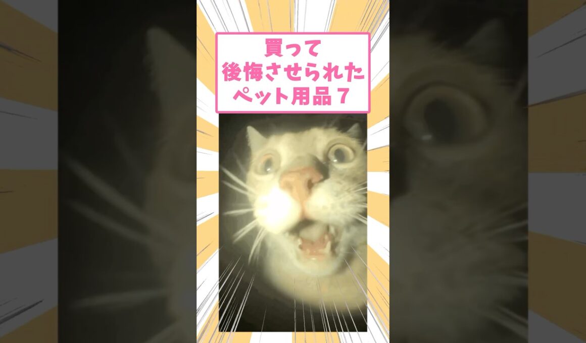 買って後悔させられたペット用品7 #猫　#猫のいる暮らし #2ch