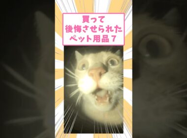 買って後悔させられたペット用品7 #猫　#猫のいる暮らし #2ch