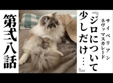 サイベリアン ジロ 28話　『じろについて少しだけ…』（ネヴァマスカレード）　Siberian Jiro's Peaceful Life