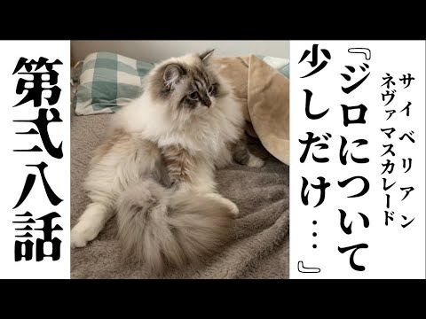 サイベリアン ジロ 28話　『じろについて少しだけ…』（ネヴァマスカレード）　Siberian Jiro's Peaceful Life