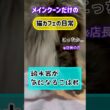 メインクーンだけの【猫カフェの日常】#cat #cooncat #mainecat #もふもふ