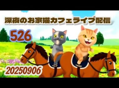 深夜のお家猫カフェライブ配信 ５２６