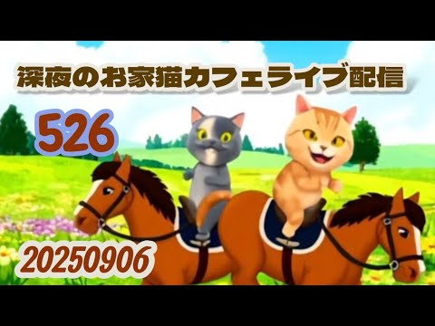 深夜のお家猫カフェライブ配信 ５２６