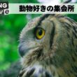 【雑談枠】動物好きの暇つぶし集会所