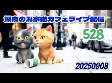 深夜のお家猫カフェライブ配信 ５２８