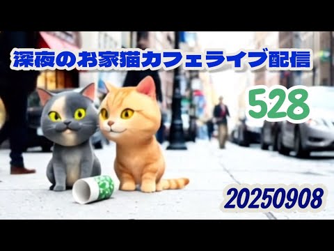 深夜のお家猫カフェライブ配信 ５２８