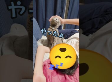 🐈‍⬛なでなで大好き猫 じらされたあとは最高！！