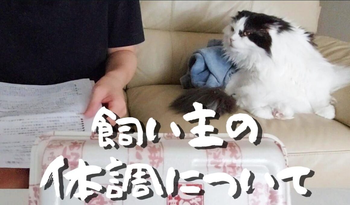 【健康管理】飼い主の体調についてと猫たちの反応