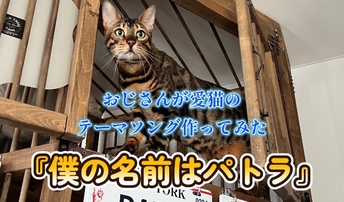愛猫パトラのテーマソング『僕の名前はパトラ』