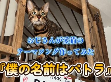 愛猫パトラのテーマソング『僕の名前はパトラ』